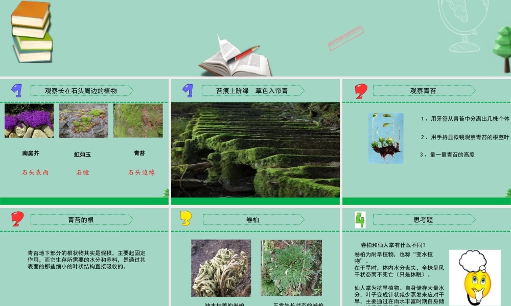 三年级科学下册 第二单元 植物与环境 8 石头上的植物课件1 苏教版-苏教版小学三年级下册自然科学课件