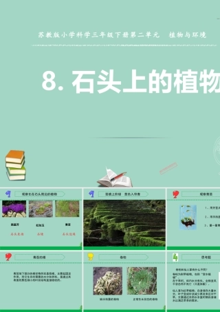 三年级科学下册 第二单元 植物与环境 8 石头上的植物课件1 苏教版-苏教版小学三年级下册自然科学课件