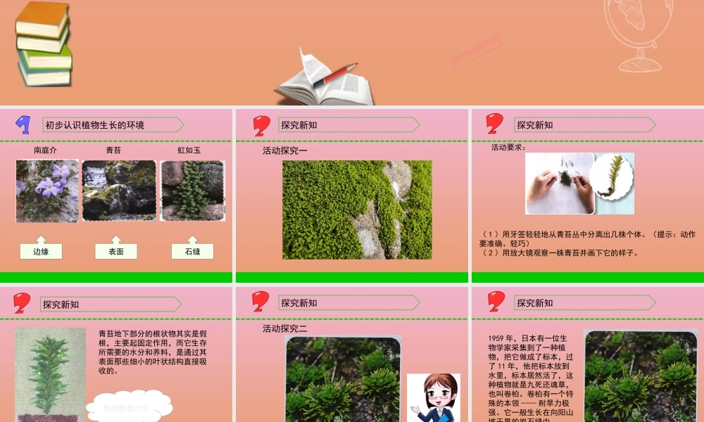 三年级科学下册 第二单元 植物与环境 8 石头上的植物课件2 苏教版-苏教版小学三年级下册自然科学课件