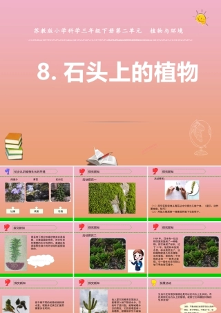 三年级科学下册 第二单元 植物与环境 8 石头上的植物课件2 苏教版-苏教版小学三年级下册自然科学课件