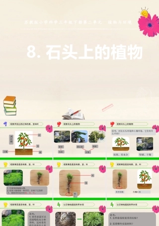 三年级科学下册 第二单元 植物与环境 8 石头上的植物课件3 苏教版-苏教版小学三年级下册自然科学课件