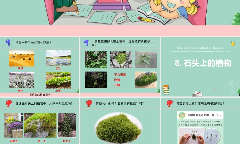 三年级科学下册 第二单元 植物与环境 8 石头上的植物课件4 苏教版-苏教版小学三年级下册自然科学课件