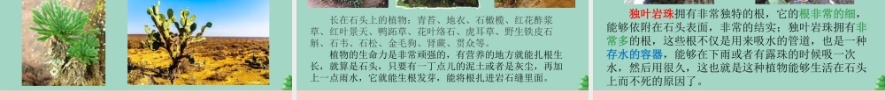 三年级科学下册 第二单元 植物与环境 8 石头上的植物课件4 苏教版-苏教版小学三年级下册自然科学课件