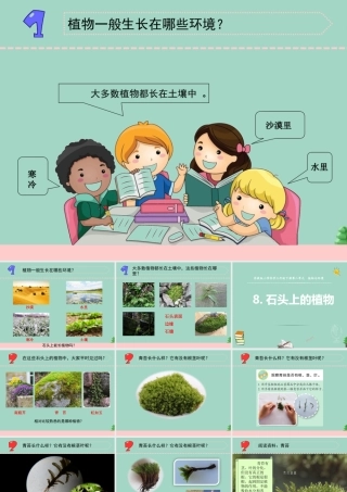三年级科学下册 第二单元 植物与环境 8 石头上的植物课件4 苏教版-苏教版小学三年级下册自然科学课件