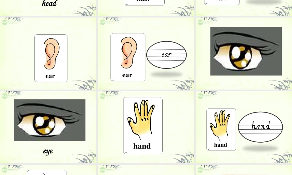 三年级英语上册 Unit 2 课件 人教新起点