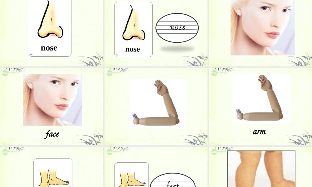 三年级英语上册 Unit 2 课件 人教新起点