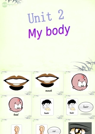 三年级英语上册 Unit 2 课件 人教新起点