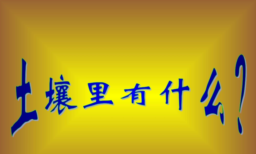 三年级科学下册 第三单元 第10课《土壤里有什么》课件1 青岛版五四制-青岛版小学三年级下册自然科学课件