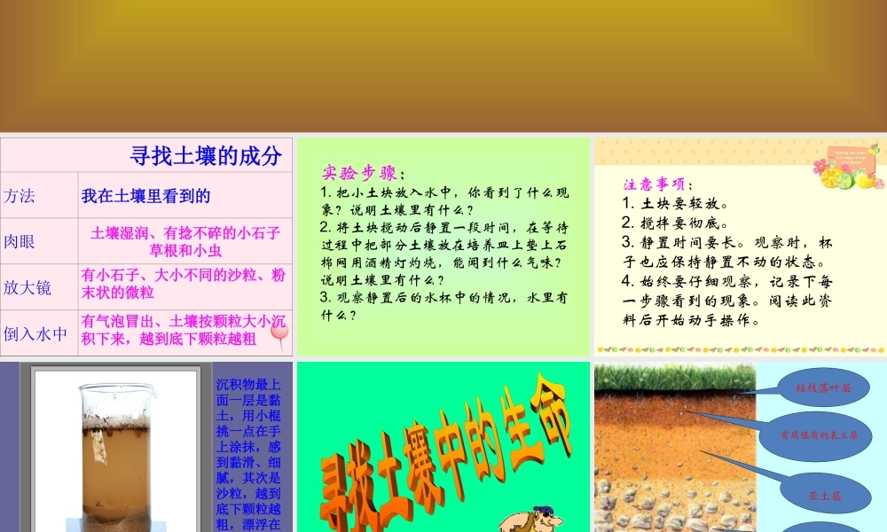 三年级科学下册 第三单元 第10课《土壤里有什么》课件1 青岛版五四制-青岛版小学三年级下册自然科学课件