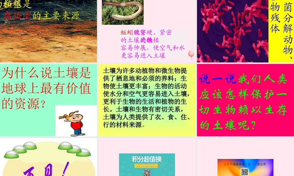 三年级科学下册 第三单元 第10课《土壤里有什么》课件1 青岛版五四制-青岛版小学三年级下册自然科学课件