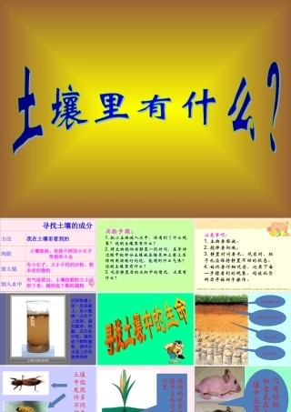 三年级科学下册 第三单元 第10课《土壤里有什么》课件1 青岛版五四制-青岛版小学三年级下册自然科学课件