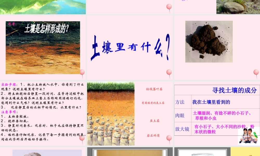 三年级科学下册 第三单元 第10课《土壤里有什么》课件2 青岛版五四制-青岛版小学三年级下册自然科学课件