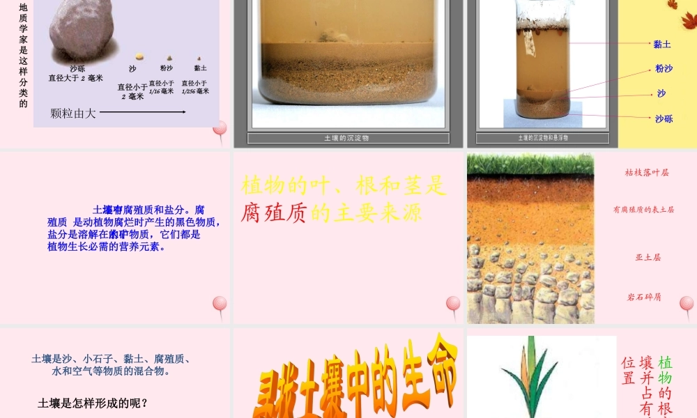 三年级科学下册 第三单元 第10课《土壤里有什么》课件2 青岛版五四制-青岛版小学三年级下册自然科学课件