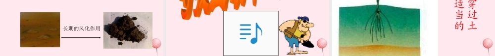 三年级科学下册 第三单元 第10课《土壤里有什么》课件2 青岛版五四制-青岛版小学三年级下册自然科学课件
