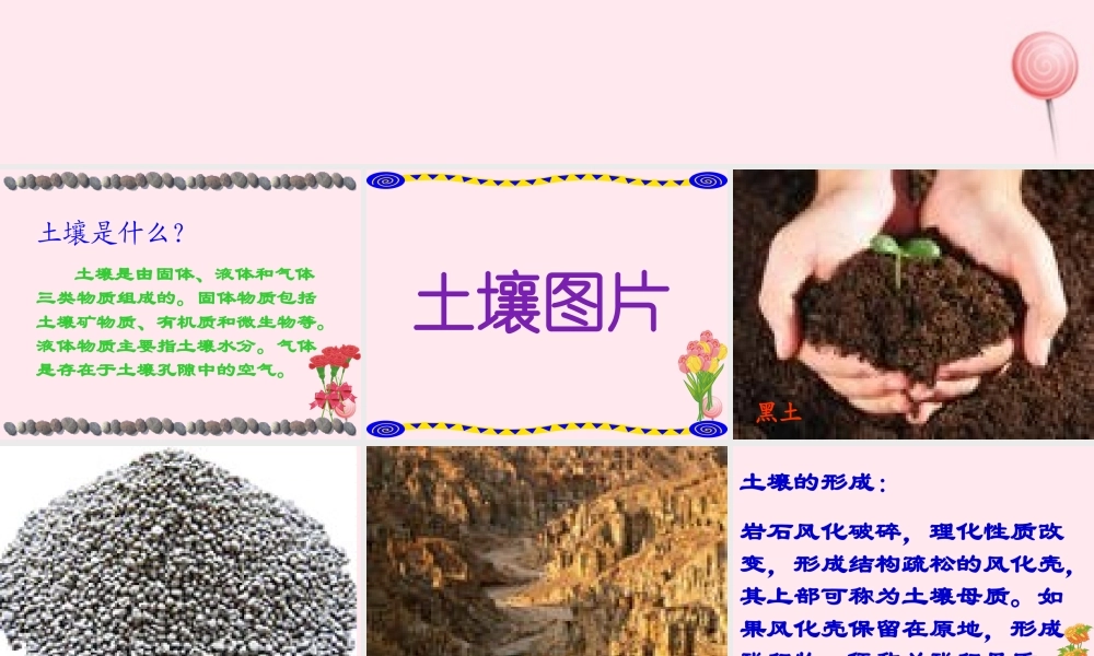 三年级科学下册 第三单元 第11课《土壤的种类》课件1 青岛版五四制-青岛版小学三年级下册自然科学课件