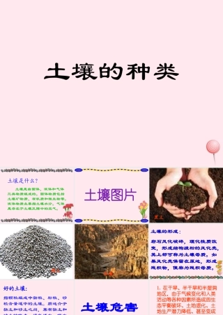 三年级科学下册 第三单元 第11课《土壤的种类》课件1 青岛版五四制-青岛版小学三年级下册自然科学课件