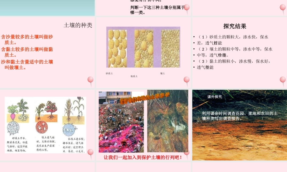 三年级科学下册 第三单元 第11课《土壤的种类》课件2 青岛版五四制-青岛版小学三年级下册自然科学课件