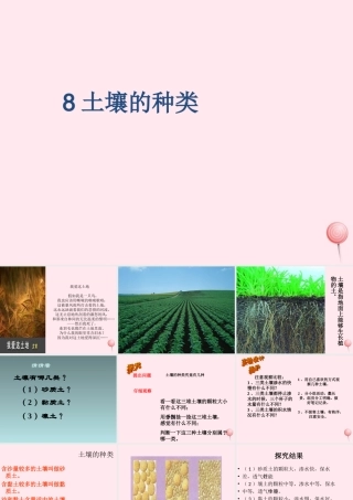 三年级科学下册 第三单元 第11课《土壤的种类》课件2 青岛版五四制-青岛版小学三年级下册自然科学课件