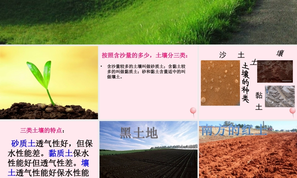 三年级科学下册 第三单元 第11课《土壤的种类》课件3 青岛版五四制-青岛版小学三年级下册自然科学课件
