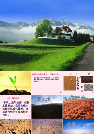 三年级科学下册 第三单元 第11课《土壤的种类》课件3 青岛版五四制-青岛版小学三年级下册自然科学课件