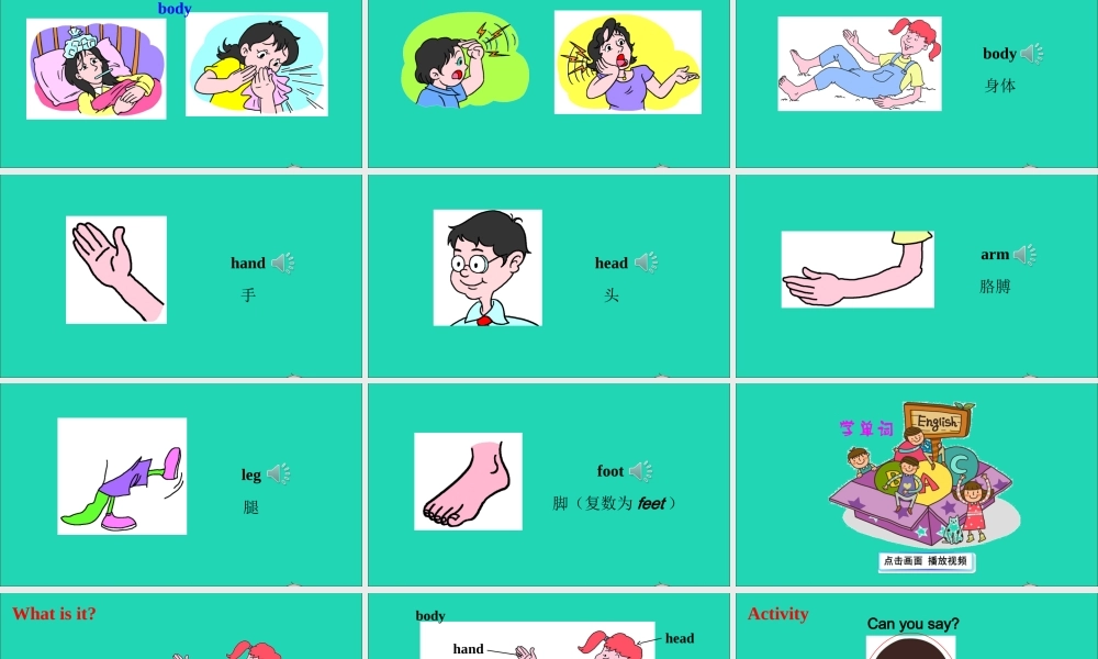 三年级英语上册 Unit 3 Body and Feelings Lesson 14 My Body课件+素材 冀教版（三起）