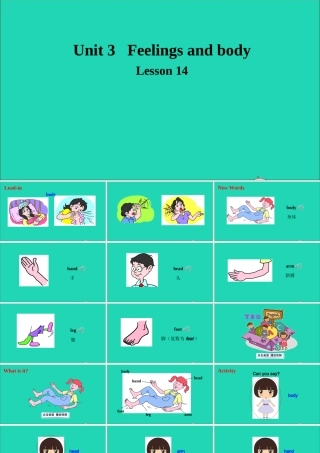 三年级英语上册 Unit 3 Body and Feelings Lesson 14 My Body课件+素材 冀教版（三起）