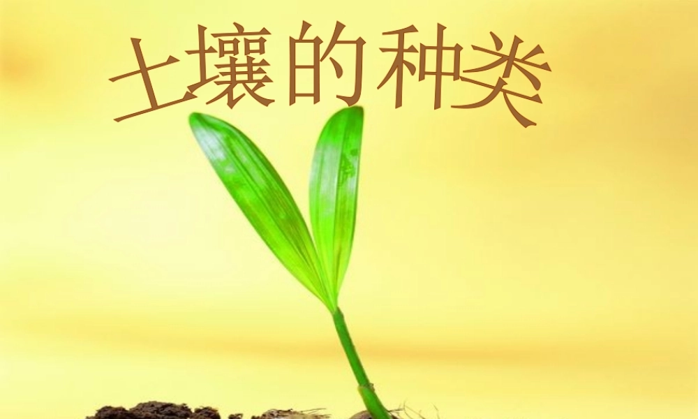 三年级科学下册 第三单元 第11课《土壤的种类》课件4 青岛版五四制-青岛版小学三年级下册自然科学课件