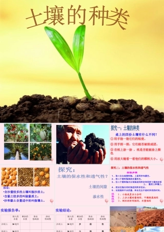 三年级科学下册 第三单元 第11课《土壤的种类》课件4 青岛版五四制-青岛版小学三年级下册自然科学课件