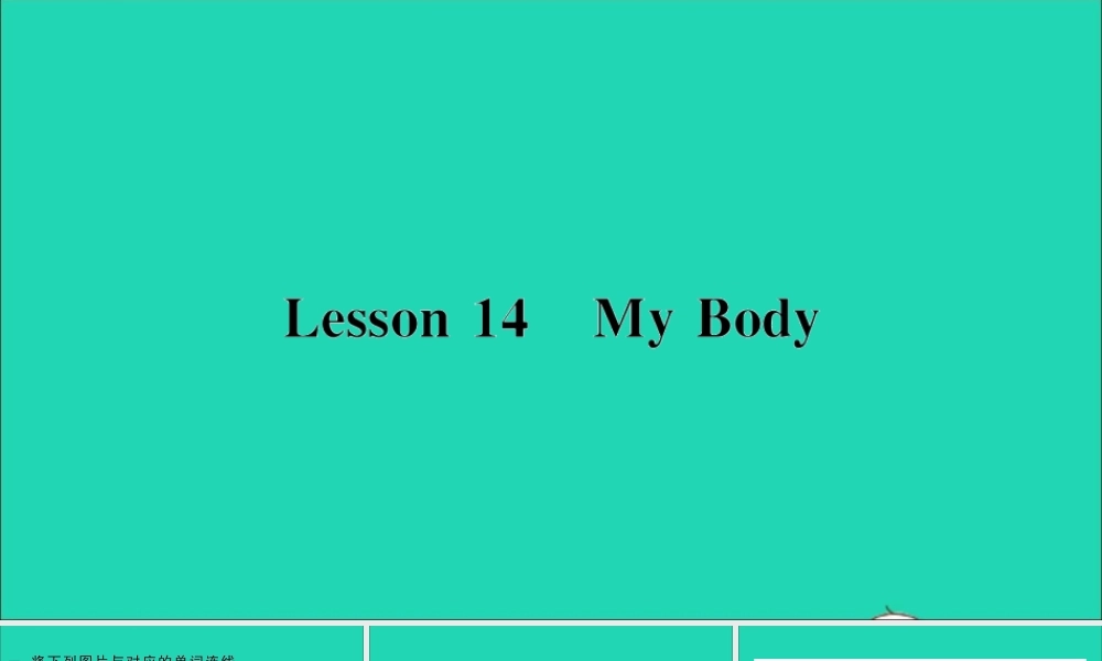 三年级英语上册 Unit 3 Body and Feelings Lesson 14 My Body作业课件 冀教版（三起）-冀教版小学三年级上册英语课件