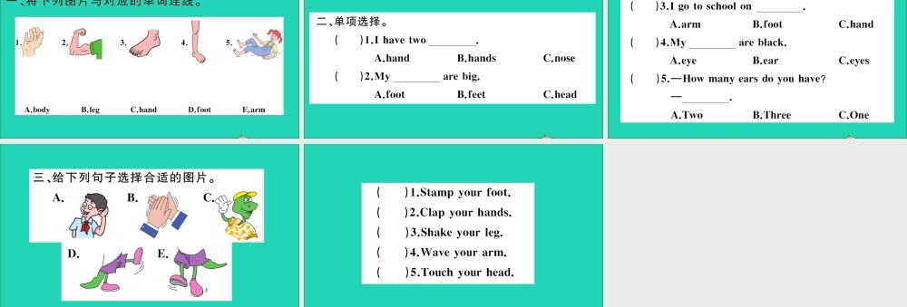 三年级英语上册 Unit 3 Body and Feelings Lesson 14 My Body作业课件 冀教版（三起）-冀教版小学三年级上册英语课件
