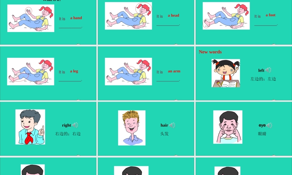 三年级英语上册 Unit 3 Body and Feelings Lesson 15 Left and Right课件+素材 冀教版（三起）