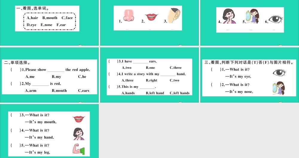 三年级英语上册 Unit 3 Body and Feelings Lesson 15 Left and Right作业课件 冀教版（三起）-冀教版小学三年级上册英语课件