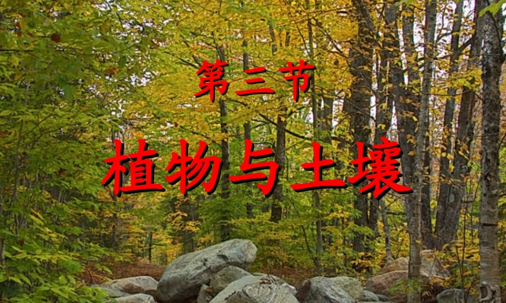 三年级科学下册 第三单元 第12课《土壤与植物》课件1 青岛版五四制-青岛版小学三年级下册自然科学课件