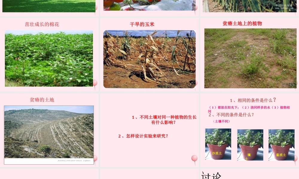 三年级科学下册 第三单元 第12课《土壤与植物》课件1 青岛版五四制-青岛版小学三年级下册自然科学课件