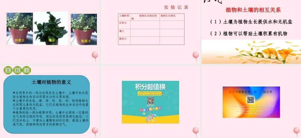 三年级科学下册 第三单元 第12课《土壤与植物》课件1 青岛版五四制-青岛版小学三年级下册自然科学课件