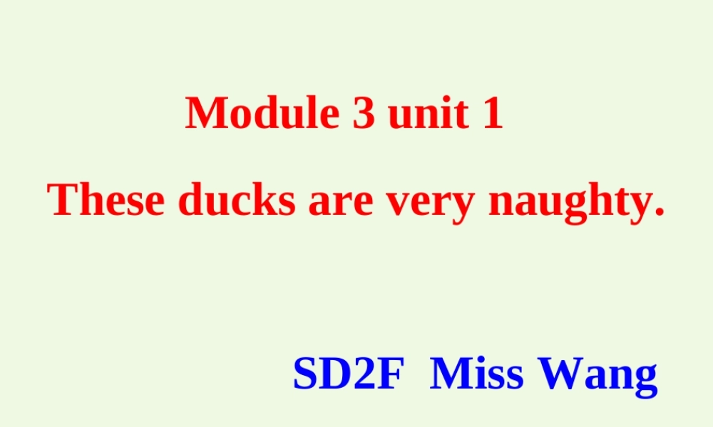 三年级英语上册 Unit 1 These ducks are very naughty课件 外研版（一起）-外研版小学三年级上册英语课件