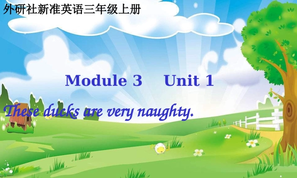 三年级英语上册 Unit 1 These ducks are very naughty课件1 外研版（一起）-外研版小学三年级上册英语课件