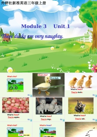 三年级英语上册 Unit 1 These ducks are very naughty课件1 外研版（一起）-外研版小学三年级上册英语课件