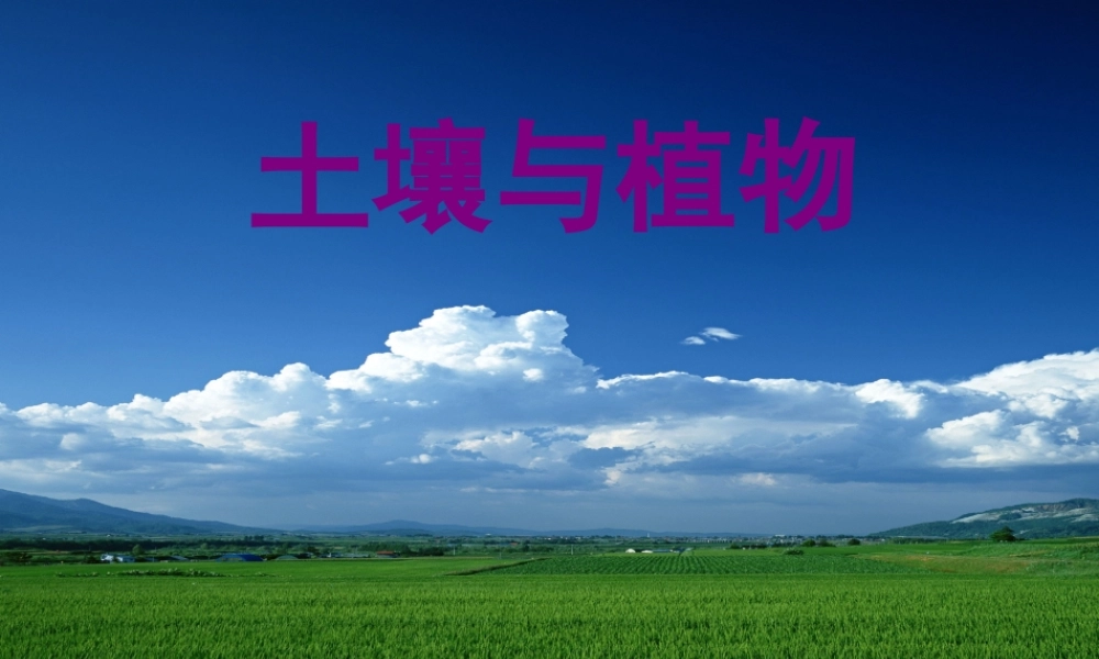 三年级科学下册 第三单元 第12课《土壤与植物》课件2 青岛版五四制-青岛版小学三年级下册自然科学课件