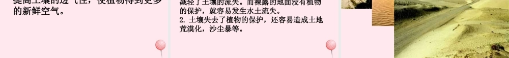 三年级科学下册 第三单元 第12课《土壤与植物》课件2 青岛版五四制-青岛版小学三年级下册自然科学课件