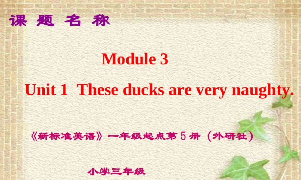三年级英语上册 Unit 1 These ducks are very naughty课件3 外研版（一起）-外研版小学三年级上册英语课件