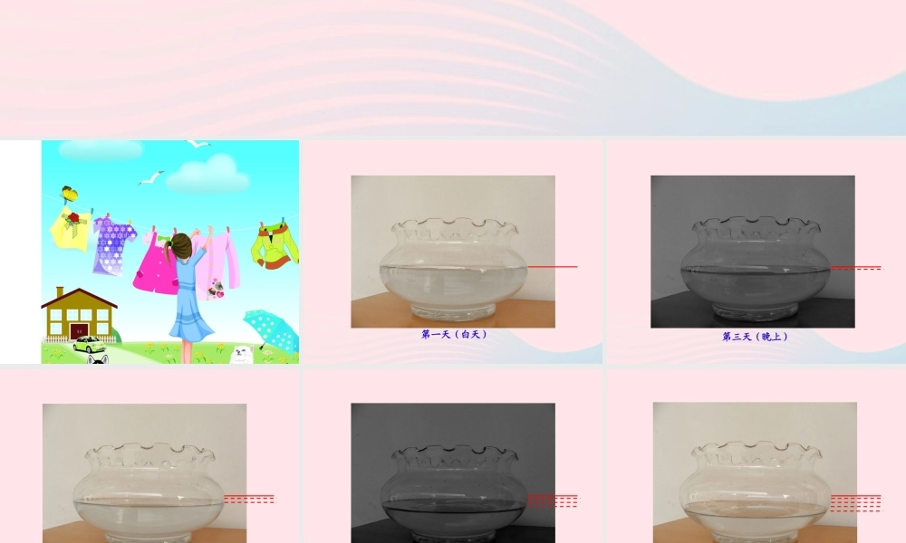 三年级科学下册 第三单元 第12课《衣服上的水跑到哪儿去了》课件1 鄂教版-鄂教版小学三年级下册自然科学课件