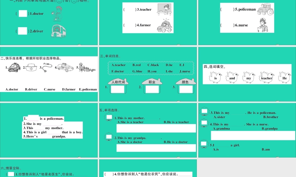 三年级英语上册 Module 9 Unit 2 He's a doctor作业课件 外研版（三起）-外研版小学三年级上册英语课件
