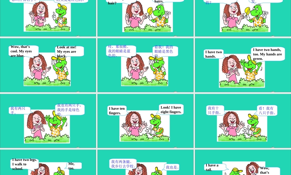 三年级英语上册 Unit 3 Body and Feelings Lesson 18 Look at Me课件+素材 冀教版（三起）