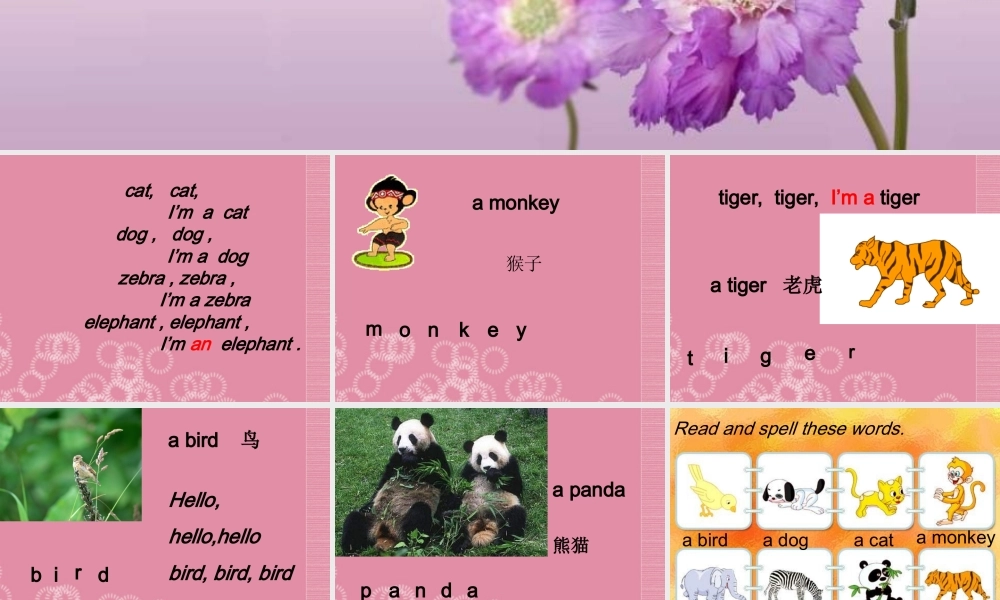 三年级英语上册 Unit 1（6）课件 闽教版