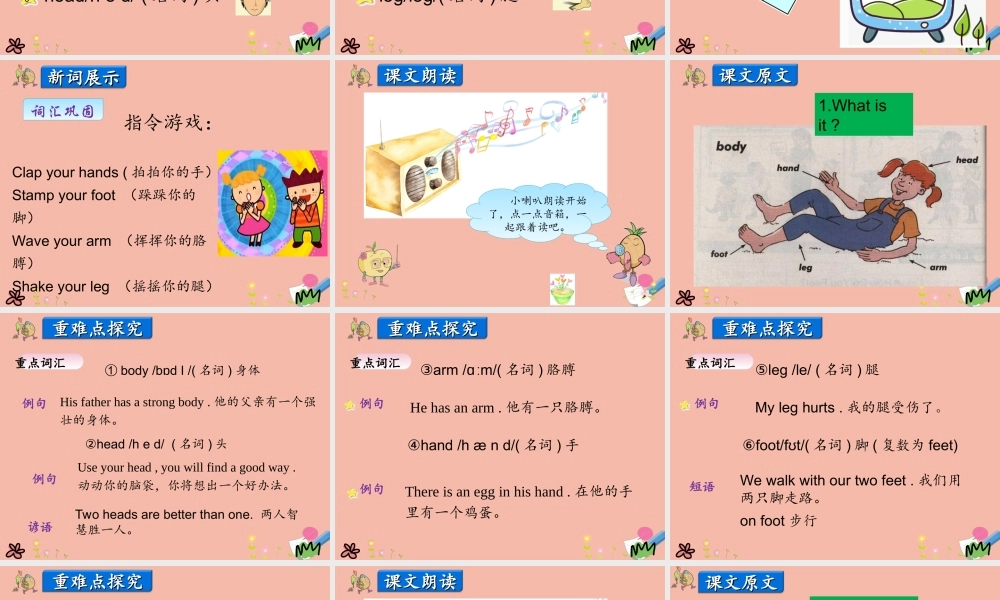 三年级英语上册 Unit 3 Feelings and Body Lesson 2 My Body课件 冀教版（三起）-冀教版小学三年级上册英语课件