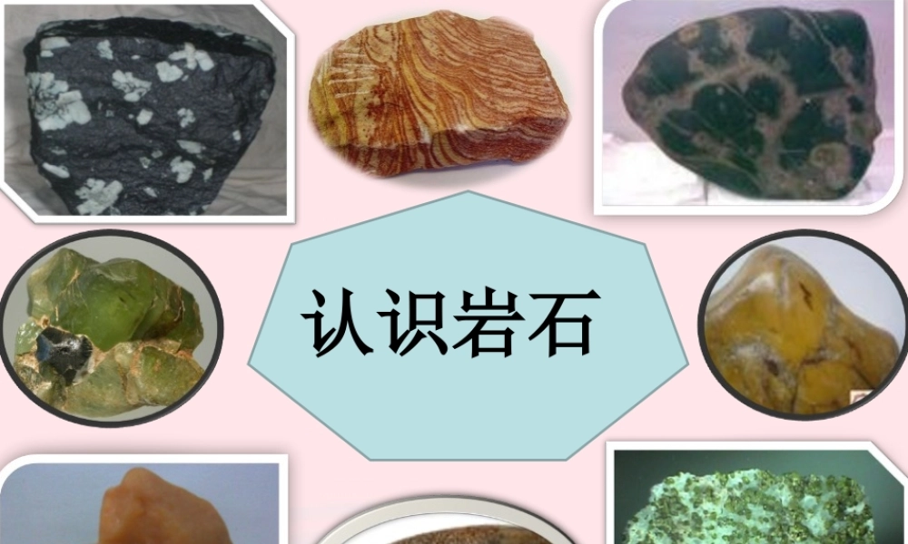 三年级科学下册 第三单元 第13课《认识岩石》课件 青岛版五四制-青岛版小学三年级下册自然科学课件