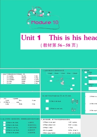 三年级英语上册 Module 10 Unit 1 This is his head作业课件 外研版（三起）-外研版小学三年级上册英语课件