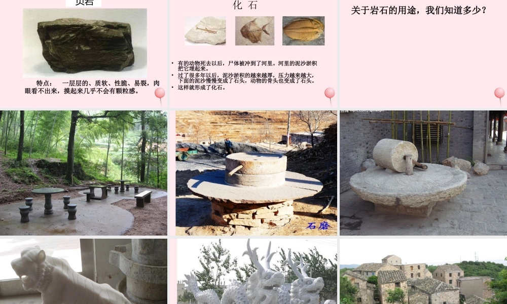 三年级科学下册 第三单元 第13课《认识岩石》课件2 青岛版五四制-青岛版小学三年级下册自然科学课件