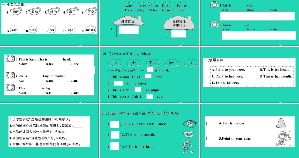 三年级英语上册 Module 10 Unit 2 Point to her nose作业课件 外研版（三起）-外研版小学三年级上册英语课件